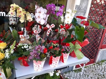 Florista Leonor